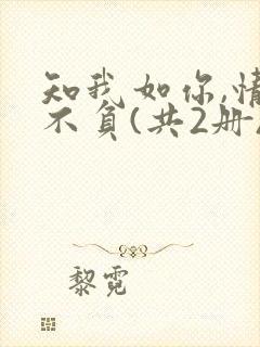 知我如你,情深不负(共2册) 小说
