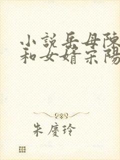 小说岳母陈丽珍和女婿宋阳免费阅读全文