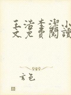 王浩李洁小说全文免费阅读