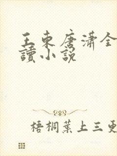 王东唐潇全本阅读小说