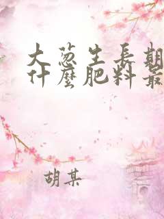 大葱生长期需要什么肥料最佳