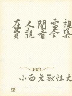 在人间电视剧免费观看全集完整版高清