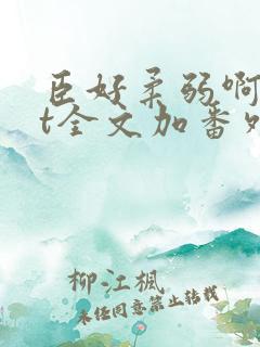 臣好柔弱啊txt全文加番外