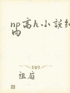 np高h小说纯肉