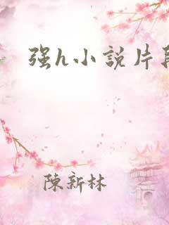 强h小说片段