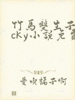 竹马双生子lucky小说免费阅读笔趣阁