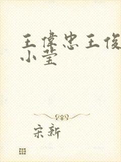王伟忠王俊凯和小莹