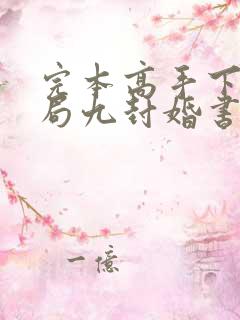 完本高手下山开局九封婚书