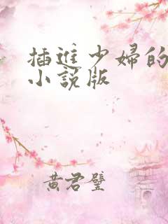 插进少妇的小逼小说版