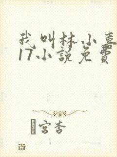 我叫林小喜今年17小说免费看