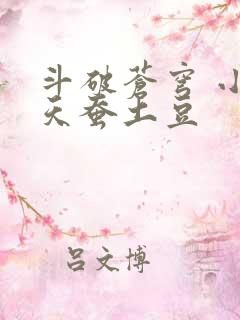 斗破苍穹 小说天蚕土豆