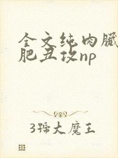 全文纯肉脏欲老肥丑攻np
