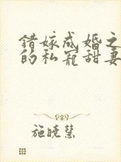 错嫁成婚之总裁的私宠甜妻完整版