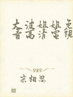 大波姐姐免费观看高清电视剧韩剧一
