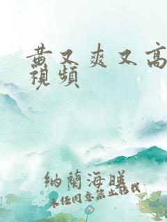 黄又爽又高潮的视频