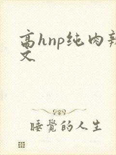 高hnp纯肉辣文