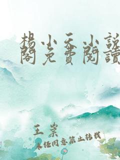 杨小天小说笔趣阁免费阅读