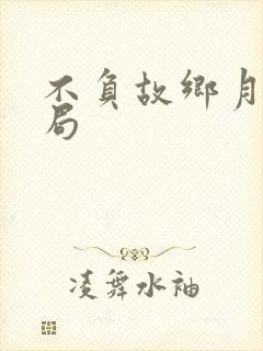 不负故乡月大结局