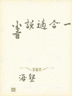 小说适合一个人看
