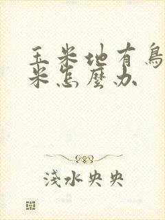 玉米地有鸟吃玉米怎么办