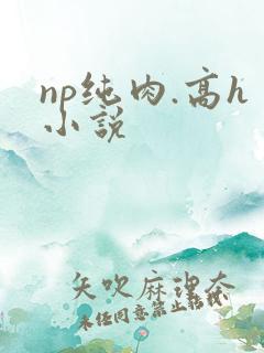 np纯肉.高h小说