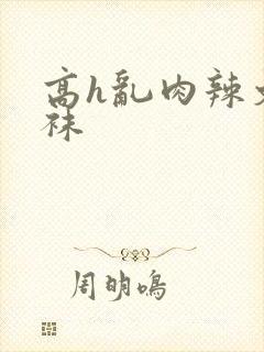 高h乱肉辣文丝袜
