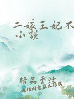 二嫁王妃不好惹 小说
