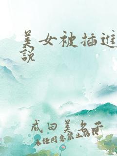美女被插进去小说