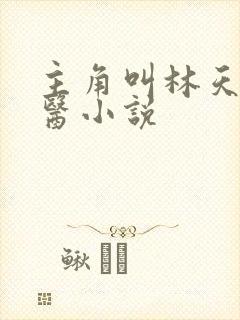 主角叫林天的神医小说