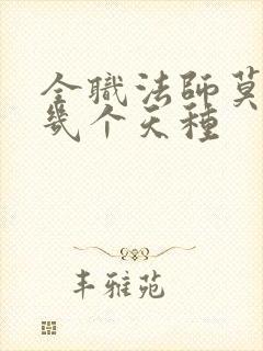全职法师莫凡有几个天种