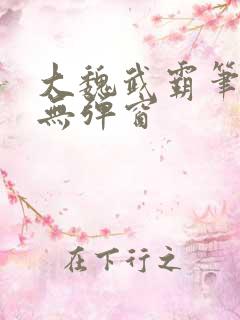 大魏武霸笔趣阁无弹窗
