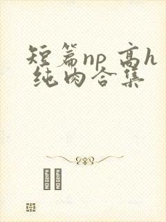 短篇np 高h 纯肉合集