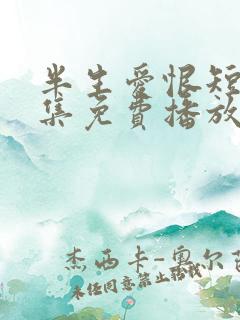 半生爱恨短剧全集免费播放