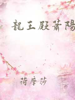 龙王殿萧阳作者