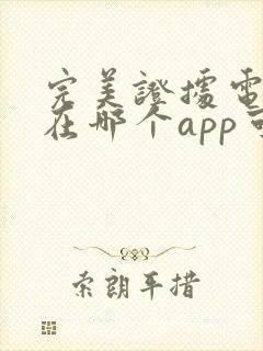 完美证据电视剧在哪个app可以看