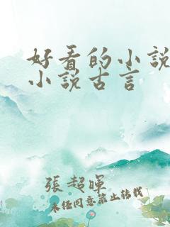 好看的小说言情小说古言