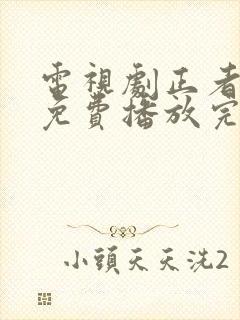电视剧正者无敌免费播放完整版全集