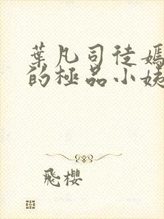 叶凡司徒嫣然我的极品小姨完整