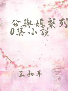 公与媳系列100集小说