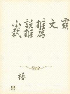 小说推文霸道总裁推荐