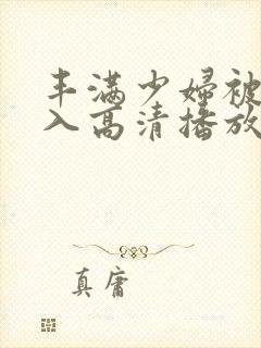 丰满少妇被猛进入高清播放