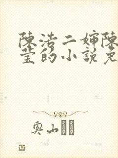 陈浩二婶陈丽小莹的小说免费阅读