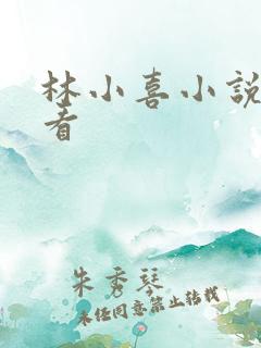 林小喜小说免费看