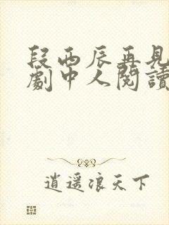 段西辰再见已无剧中人阅读全文