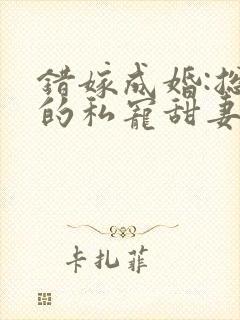错嫁成婚:总裁的私宠甜妻