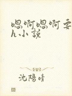嗯啊嗯啊要生了h小说