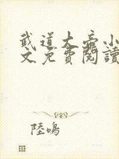 武道大帝小说全文免费阅读无弹窗