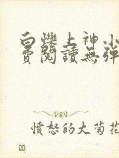 白烁上神小说免费阅读无弹窗