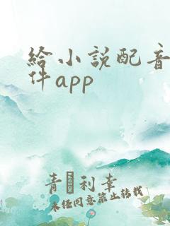 给小说配音的软件app