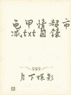 龟甲情超市无删减txt目录